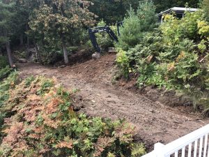 Path South